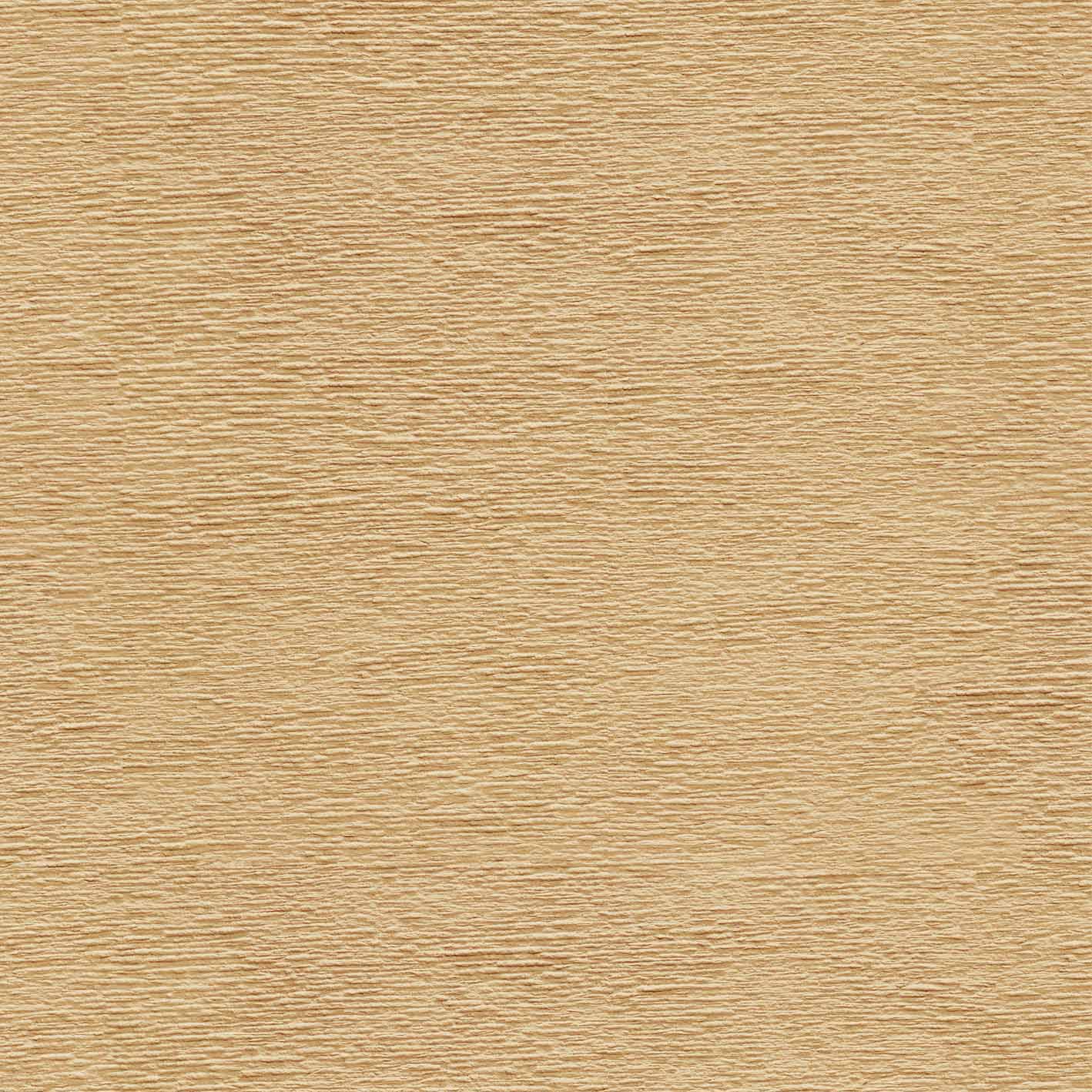 沙漠藝術