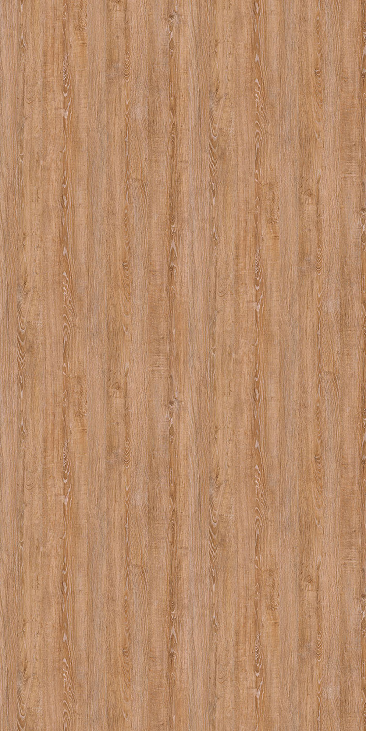 AK-14205CY31