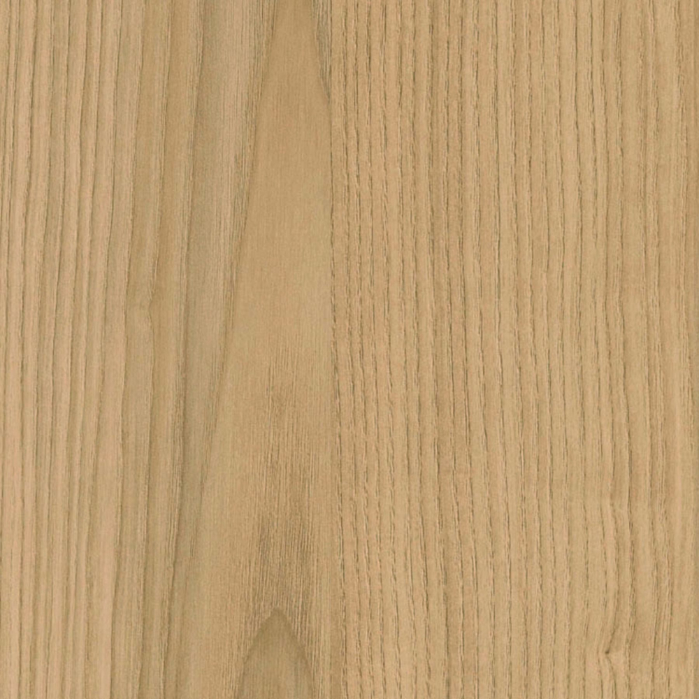 FASV14184ZYN31