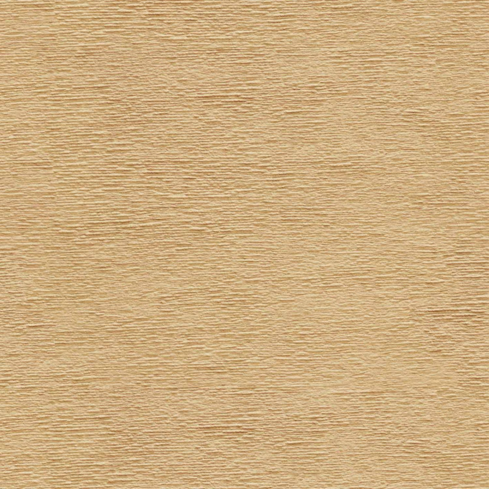 沙漠藝術