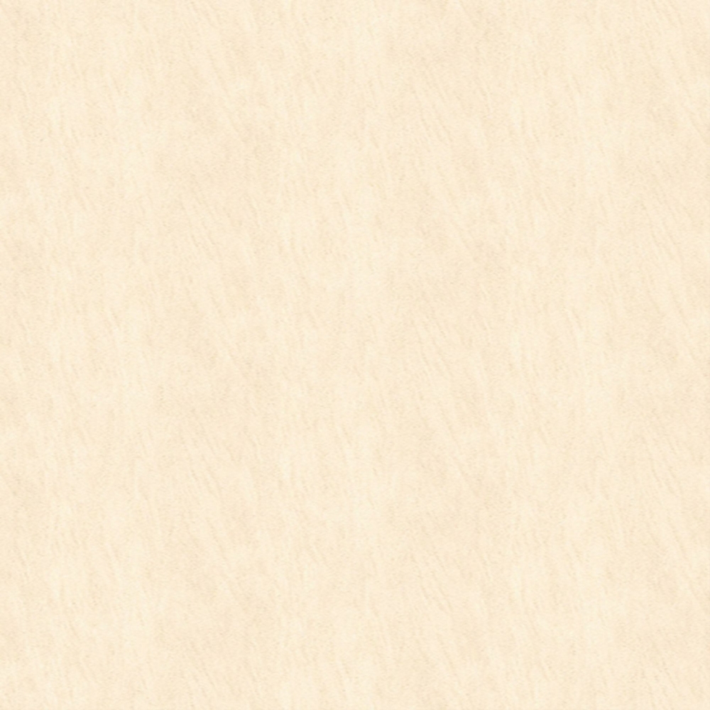 FAKE1788ZGN