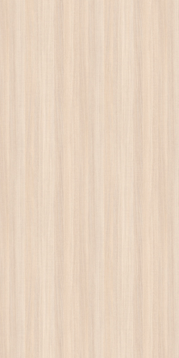 INAK8101CS21_L_s.jpg